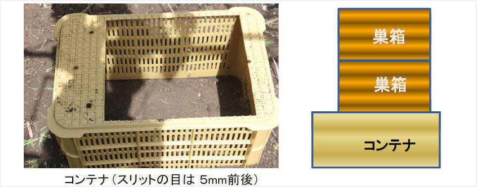 重箱式巣箱の底板の網の目の大きさについて教えて下さい。