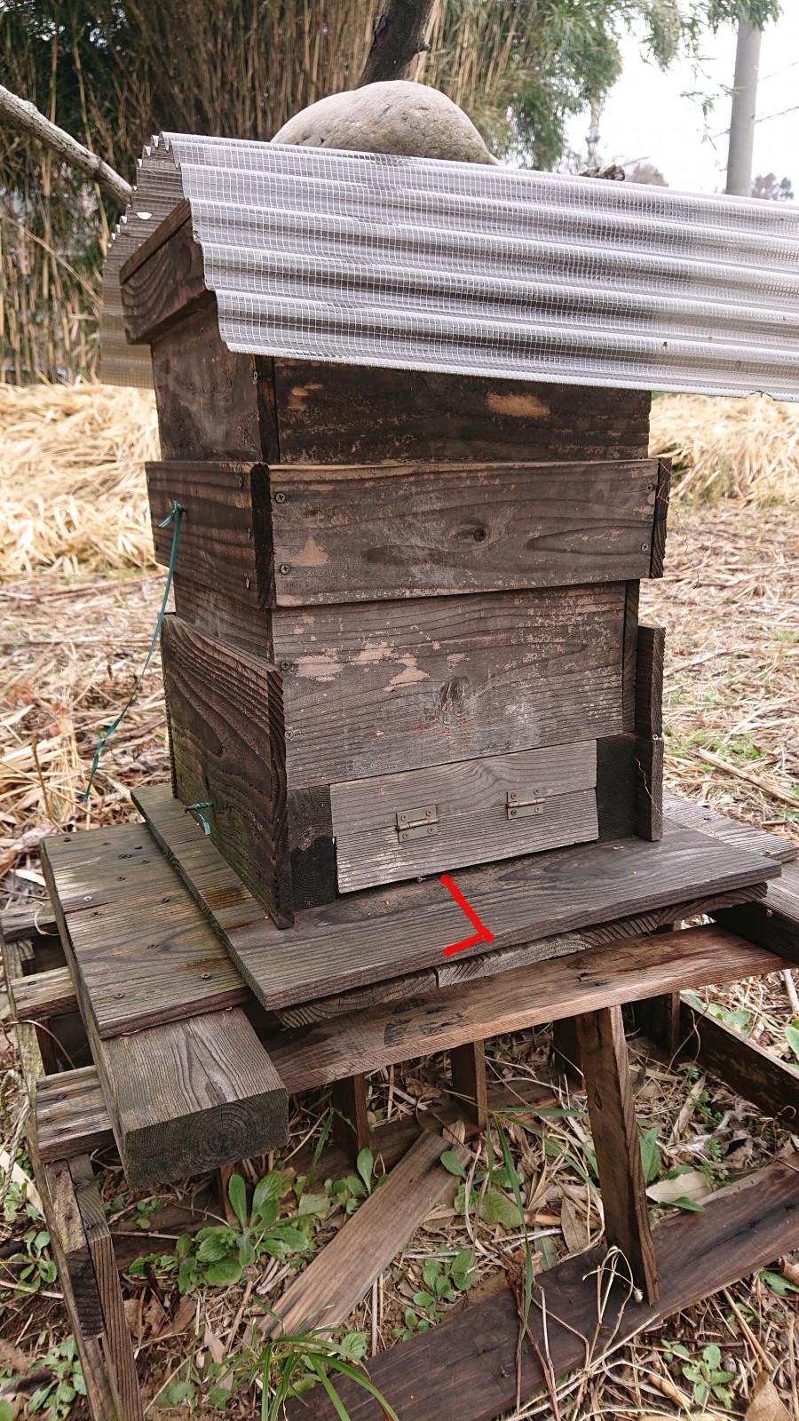 重箱式巣箱の巣門及び底板の長さについて質問いたします。
