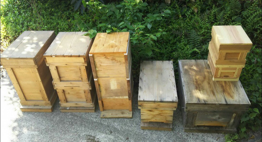 カ式巣枠式巣箱の詳しい作り方や使い方の情報を教えてください