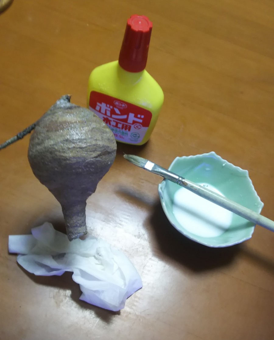 コガタスズメバチの巣、標本の展示方法について？