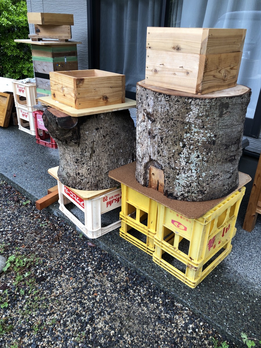 日本みつばち捕獲用待ち箱 ハイブリッド(飼育箱兼用) ハイブリッド待ち受け箱についてお尋ね致します。