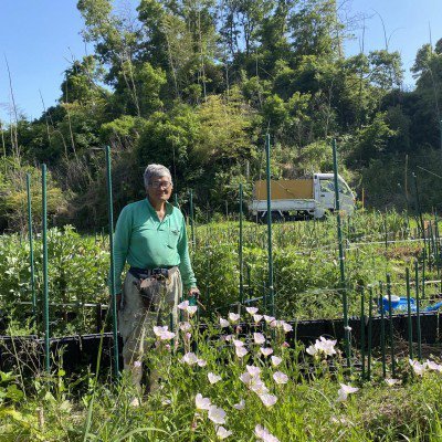 日本ミツバチの蜜源植物でおすすめは何ですか？6月から3月に咲く蜜源の